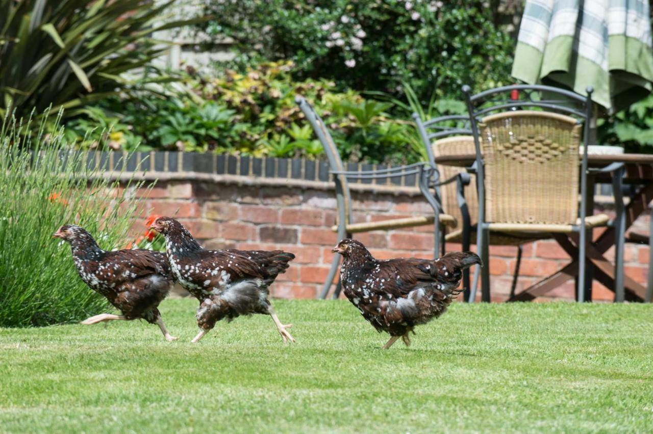 Moreton Hall Farm Bed & Breakfast นิวพอร์ต ภายนอก รูปภาพ